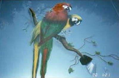 Paintbrush Papagei